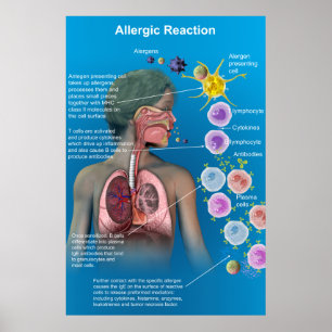 Affiche de réaction allergique