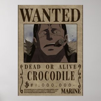 Affiche de recherche de Crocodile One Piece