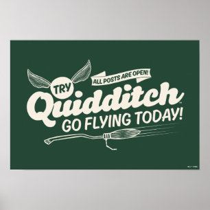 Affiche de recrutement de QUIDDITCH™