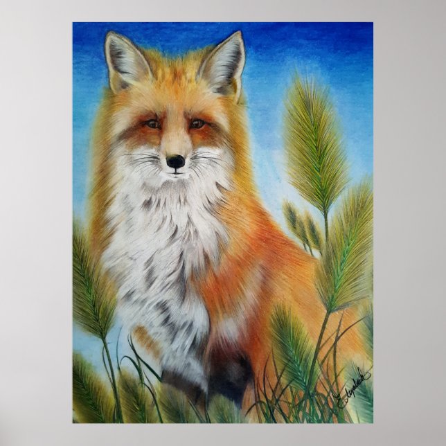 Affiche de renard (Devant)