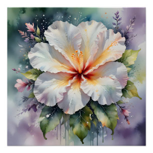 affiche de rêve d'hibiscus blanc