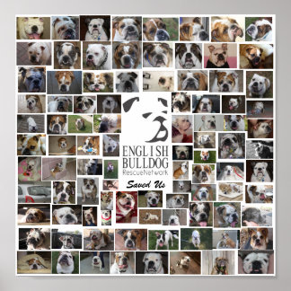 Affiche de Secourt de la BERN