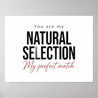 Affiche de sélection naturelle Cadeau de biologie