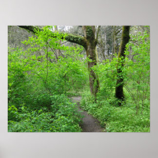 Affiche de sentier naturel