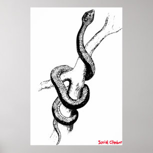Affiche de serpent