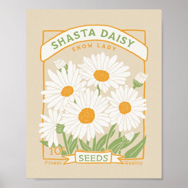 Affiche de Shasta Daisy (Devant)