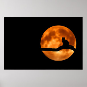 Affiche de silhouette de chat au clair de lune