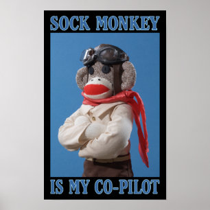 Affiche de singe de co-pilote