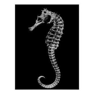 Affiche de squelette d'hippocampe scientifique