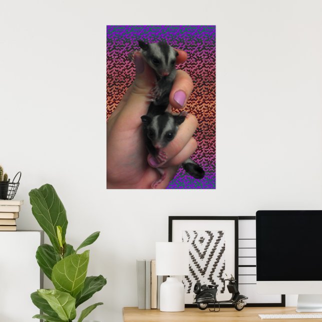 Affiche de Sugar Glider (Bureau à domicile)