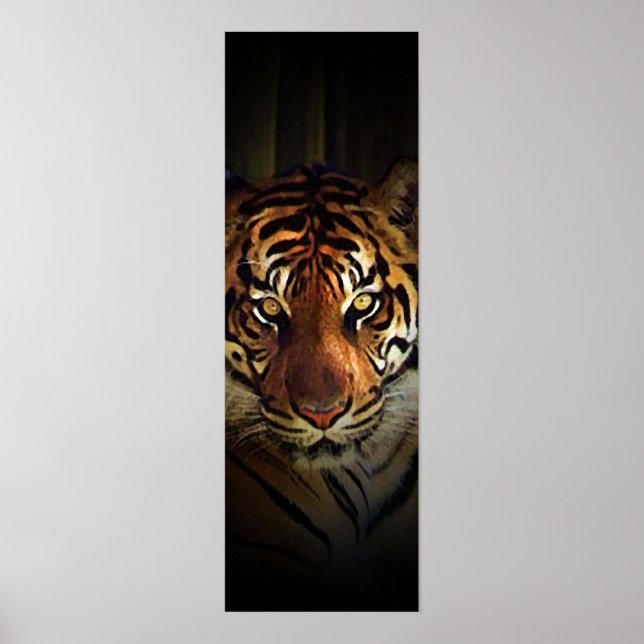 Affiche de Sumatran Tiger (Devant)