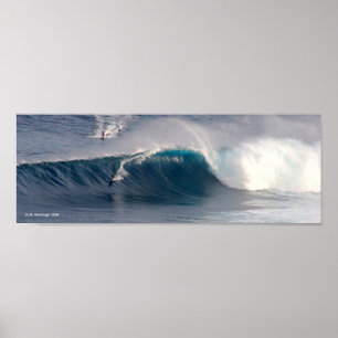 Affiche de surf de mâchoires