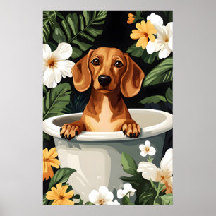 Affiche de teckel dans la baignoire, affiche de ch