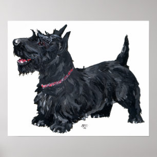 Affiche de Terrier Écossais