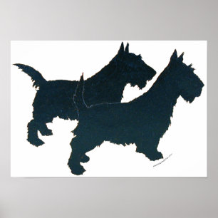 Affiche de Terrier Écossais