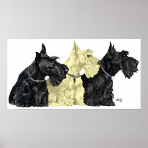 Affiche de Terrier Écossais