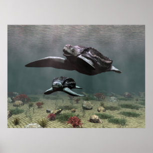 Affiche de tortue luth