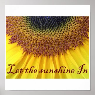 Affiche de tournesol
