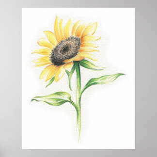 Affiche de tournesol