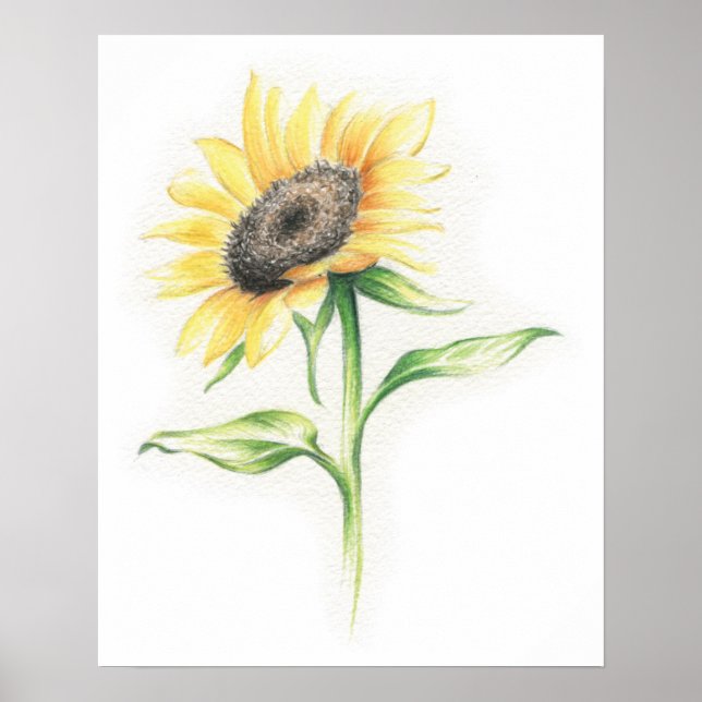 Affiche de tournesol (Devant)