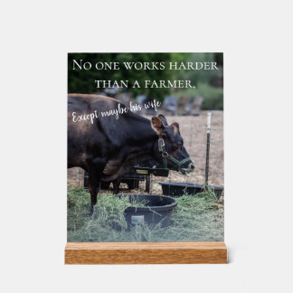 affiche de vache