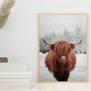 Affiche de vache des Highlands Ferme rustique Écos
