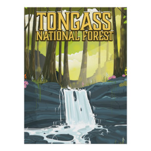 Affiche de voyage dans la forêt nationale de Tonga