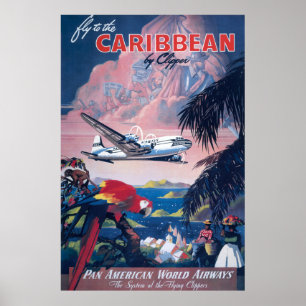 Affiche De Voyage D'Avion De Mer Survolant Les Car