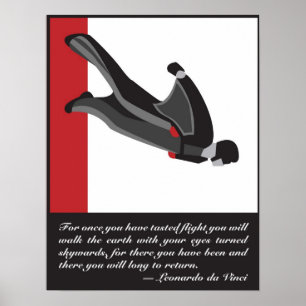 Affiche de Wingsuit SkyDive