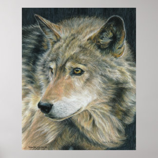 Affiche de Wolf Art