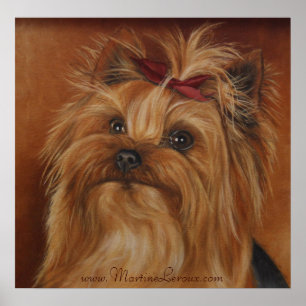 Affiche de Yorkshire Terrier