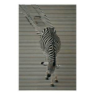 Affiche de Zebra-Optik   Art animal surréaliste