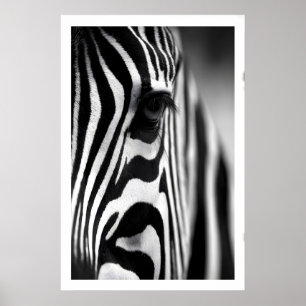 Affiche de zèbre faunique, rayures monochromes, œi