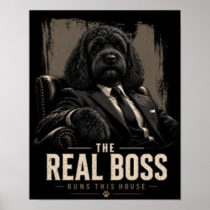 Affiche décorative Cockapoo Boss