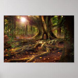 affiche d'elfin trehouse