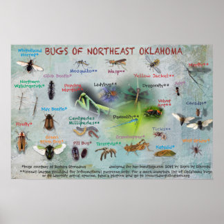 affiche des bogues du nord-est de l'Oklahoma 19