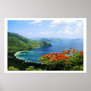 Affiche des îles Vierges britanniques