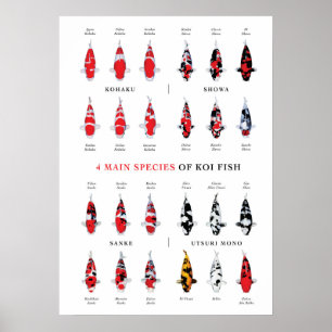 Affiche des variétés de carpes Koï