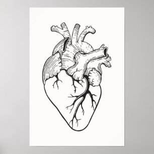 Affiche d'illustration de coeur