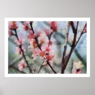 Affiche d'illustration de fleur d'arbre fruitier