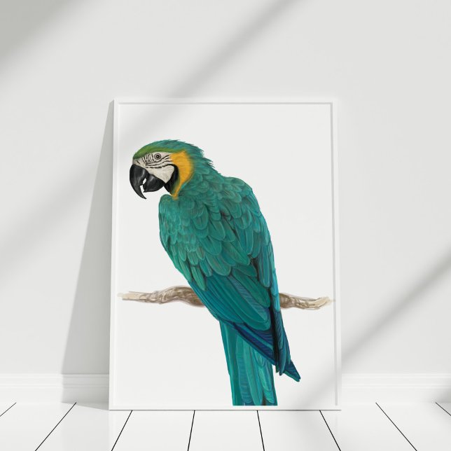 Affiche d'illustration en bleu tropical (Tropical Blue Macaw Illustration Poster in white frame on white wooden floor.)