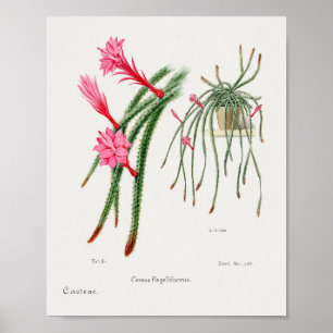 Affiche d'illustration vintage