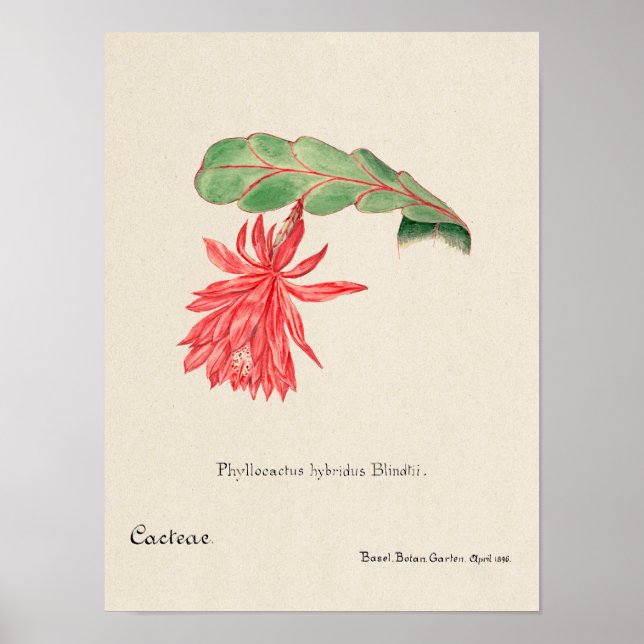 Affiche d'illustration vintage (Devant)