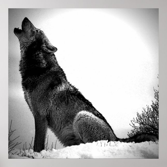 Affiche d'impression de loup hurlant à la lune - A (Devant)