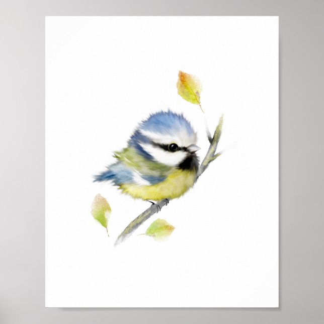 Affiche d'impression de mésange bleue (Devant)
