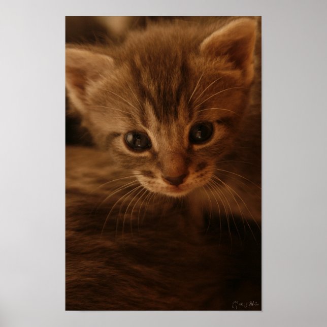 Affiche d'innocence (Devant)