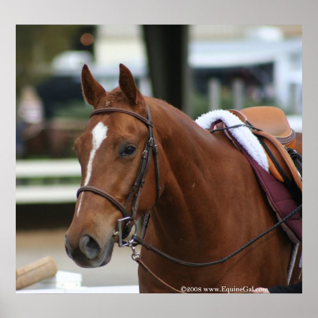 Affiche diversifiée Artie 2 (Devant)