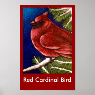 AFFICHE D'OISEAU CARDINAL ROUGE
