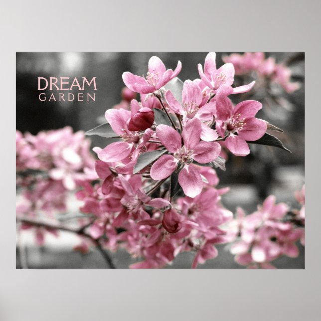 Affiche Dream Garden (Devant)