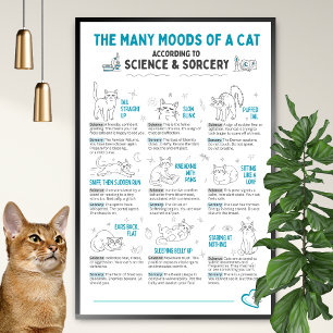 Affiche drôle du langage corporel du chat – Tablea